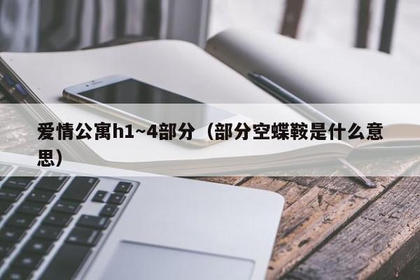 爱情公寓h1～4部分（部分空蝶鞍是什么意思）