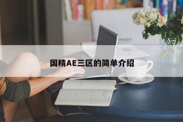 国精AE三区的简单介绍