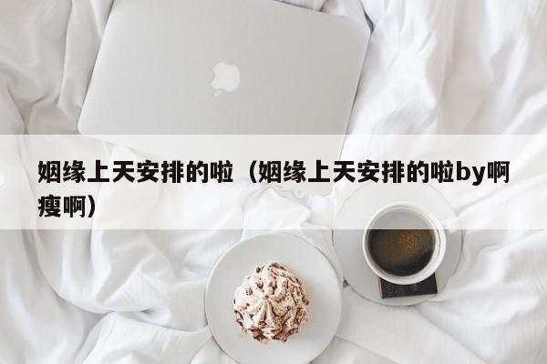 姻缘上天安排的啦（姻缘上天安排的啦by啊瘦啊）